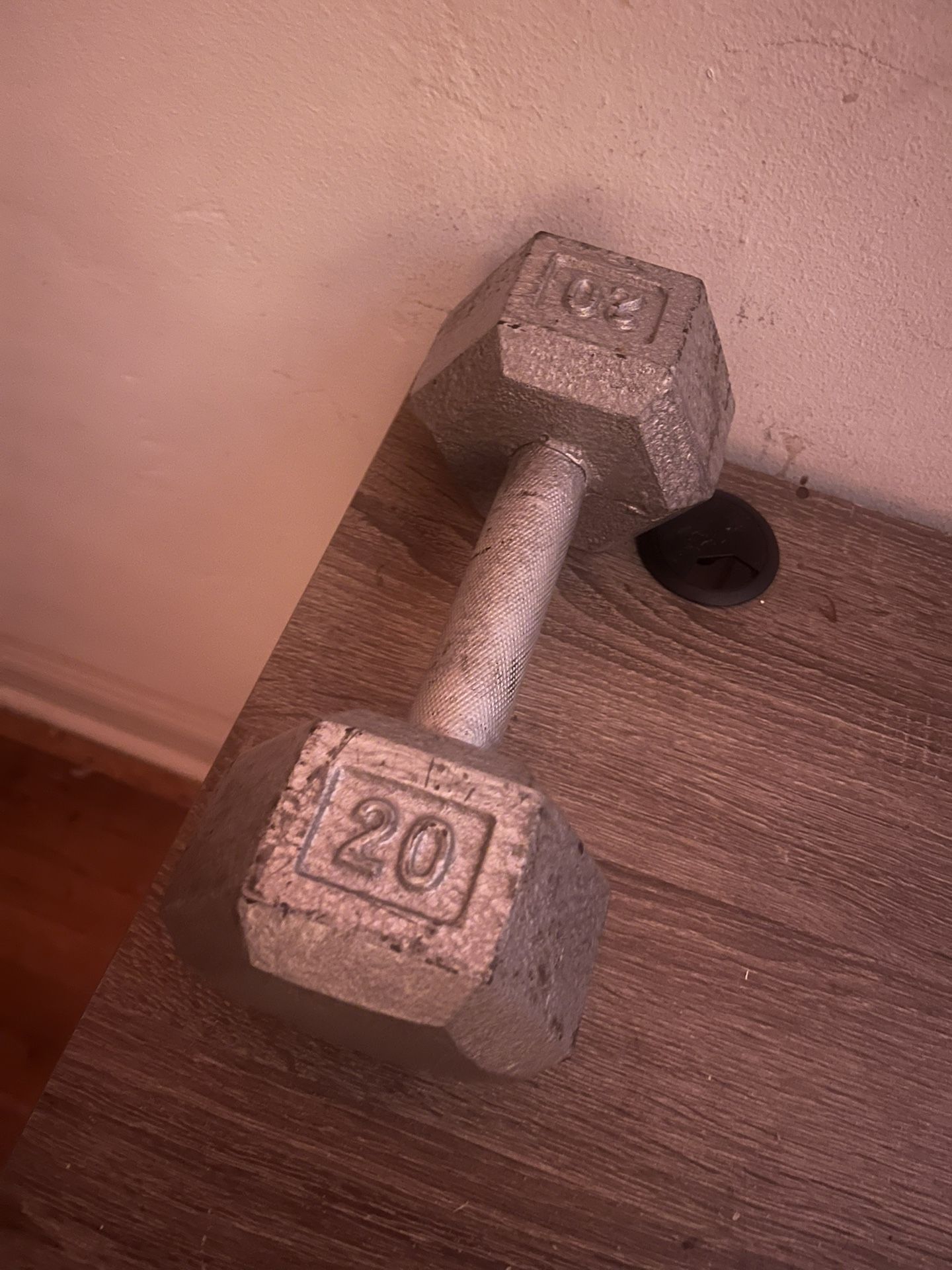 20lb Dumbbell Only 1
