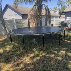 Trampoline