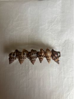 Seashell hair clip handmade