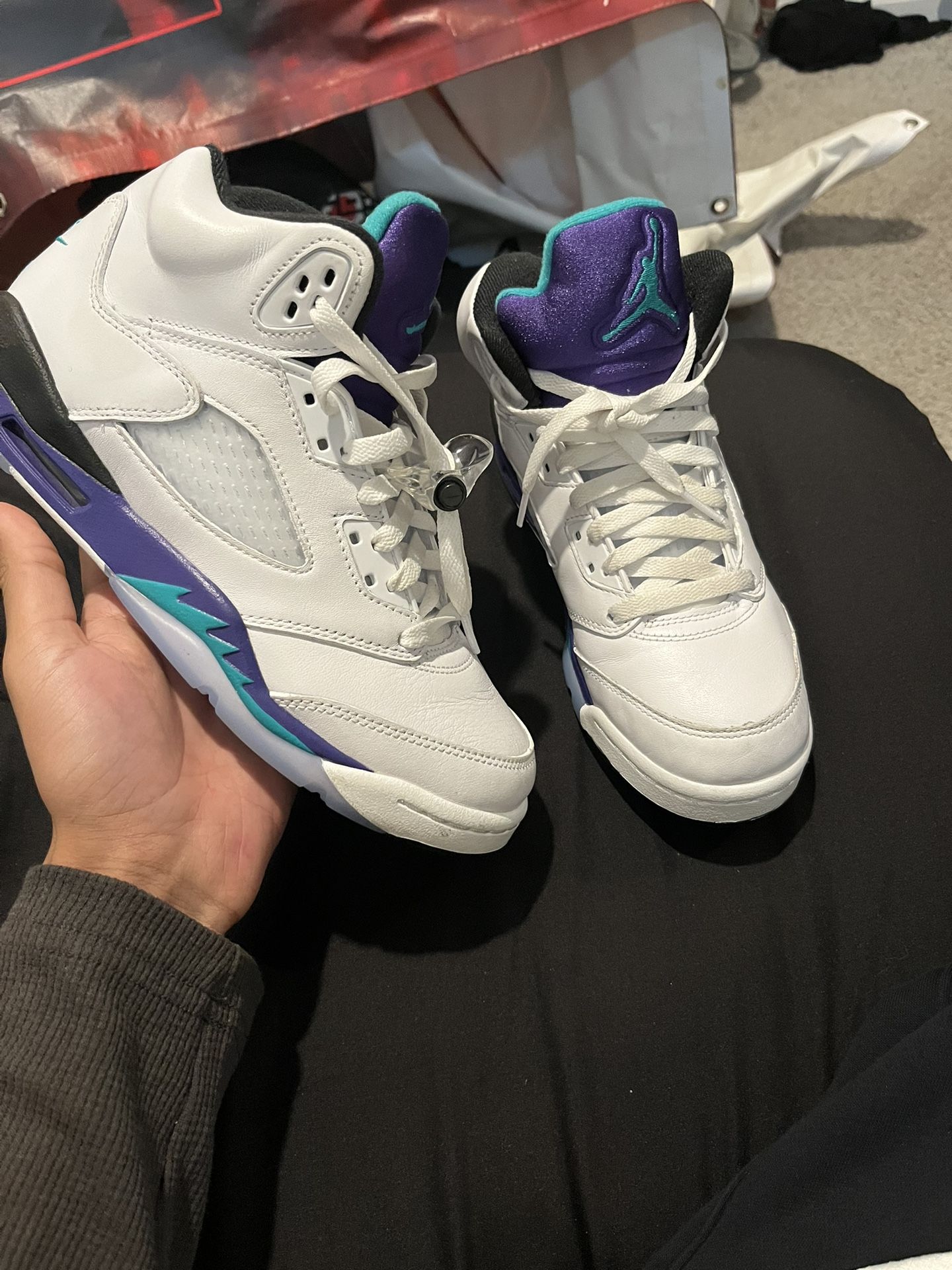 Jordan 5 Retro Grape