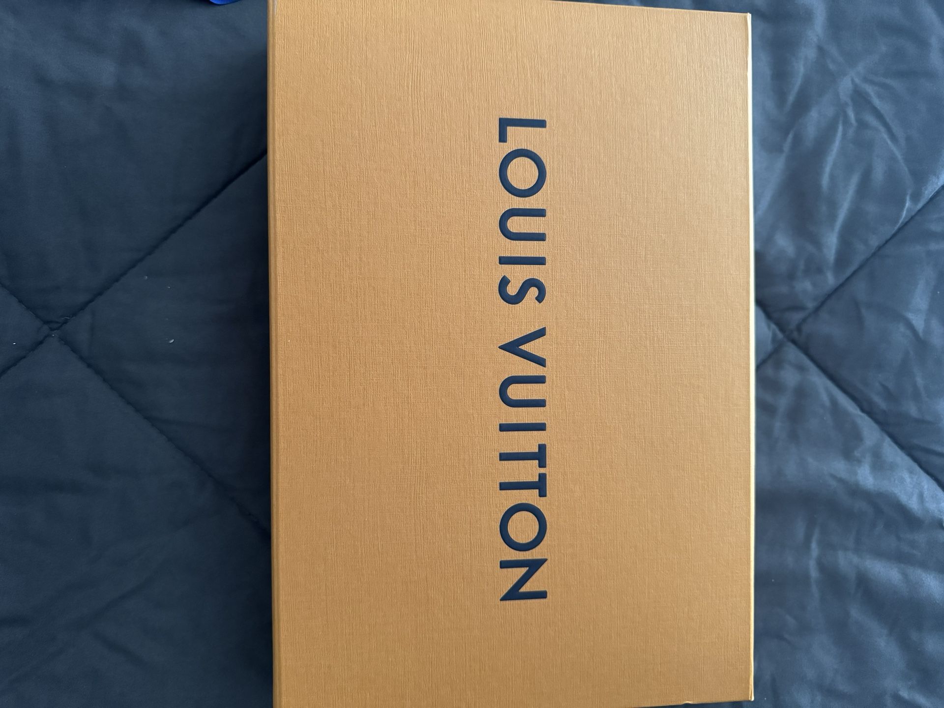 Louis Vuitton Scarf