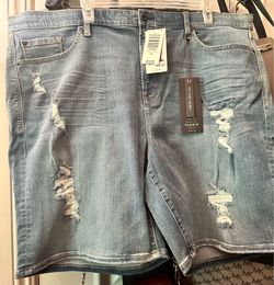 Torrid Shorts