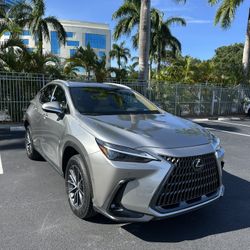 2024 Lexus NX 350