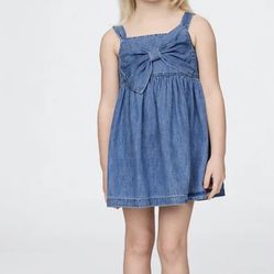 Toddler Girls Baby Gap Denim Dress 