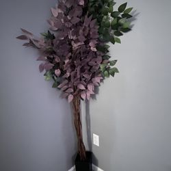 2 Purple Decorative Plants
