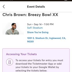 🎫 2 Chris Brown SoFi Stadium Tickets – Row 1! September 14 🔥