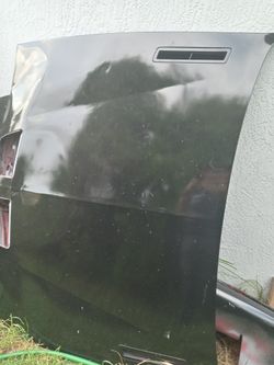 Firebird hood & bumper