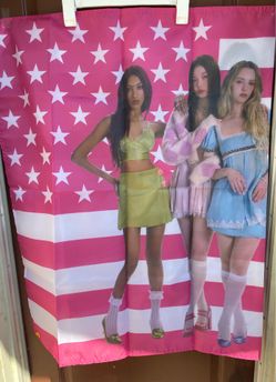 Katseye Pink American Flag Party Backdrop