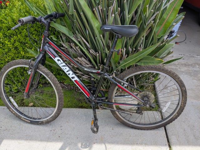 Giant Jr. Mountain Bike