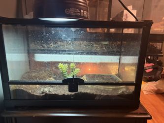 Reptile Enclosure