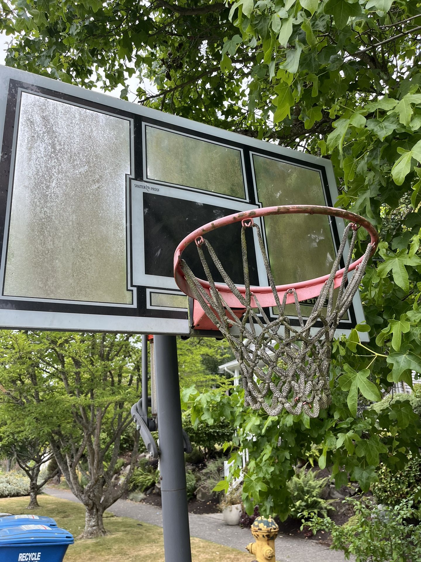 Free Basketball Hoop
