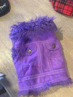 Small dogs clothing