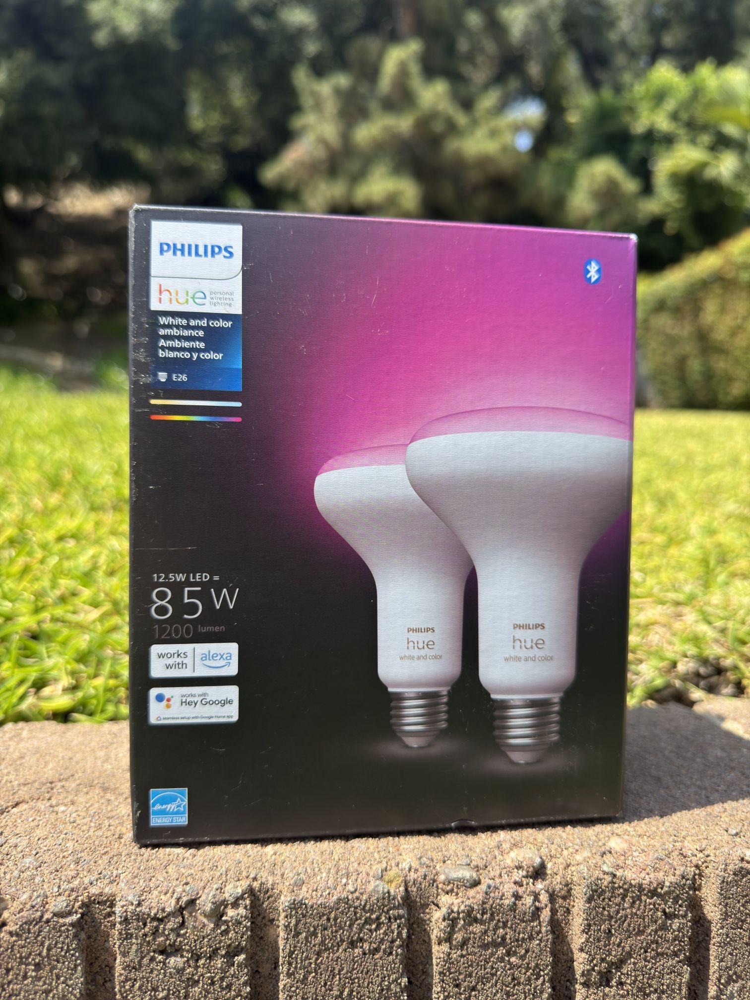 Phillips Hue BR30 Bulbs (2 Pack)