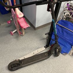 Gotrax Scooter