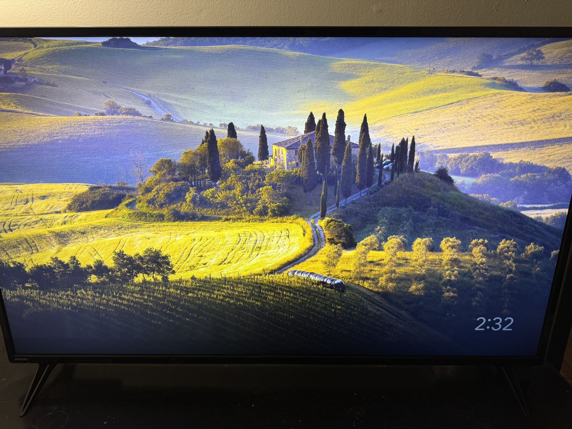 Two 60 Inch TVs (LG, Philips)