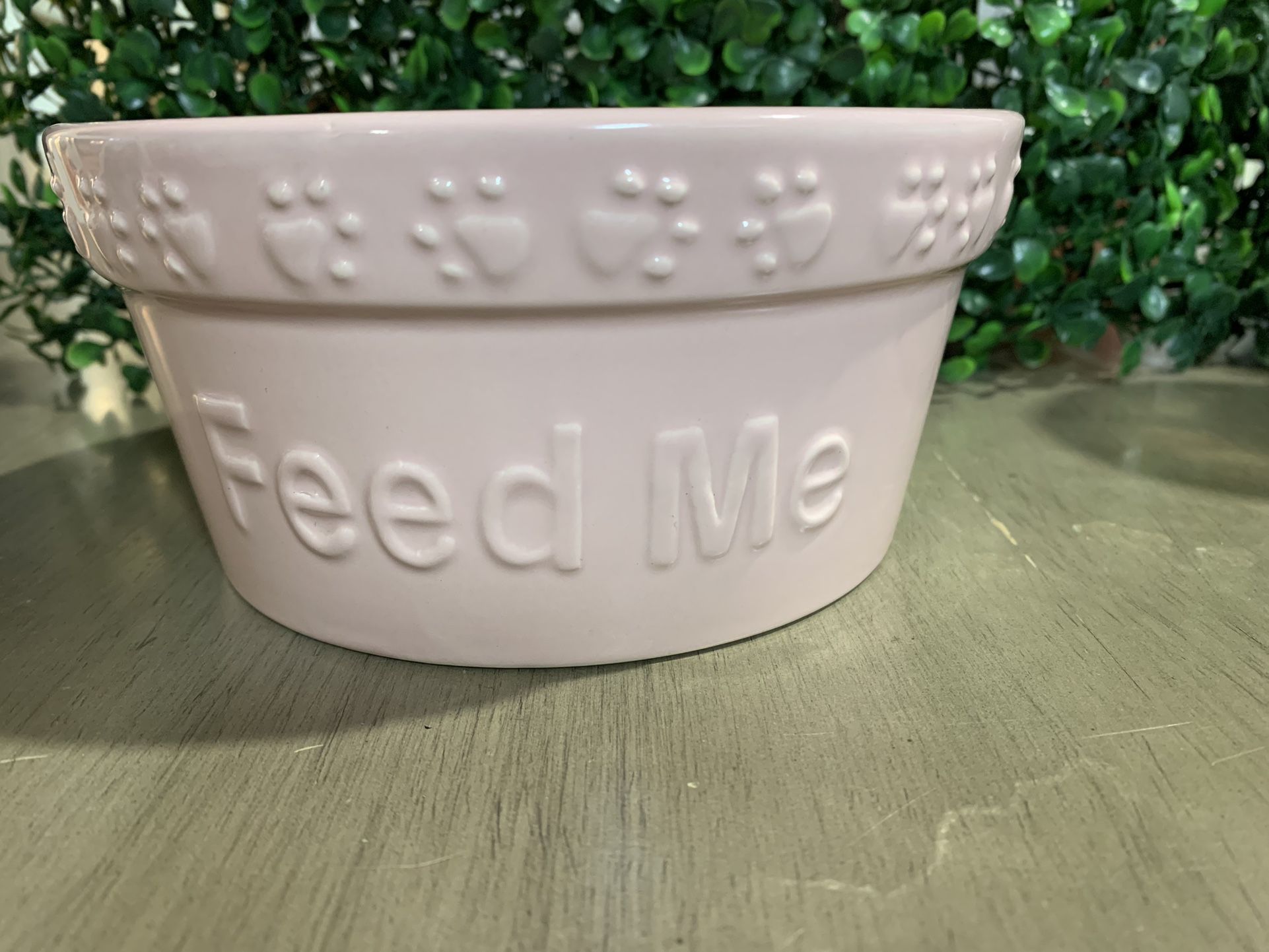 Small Dog food bowl