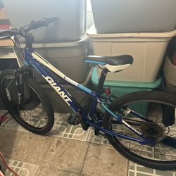 Giant Aluxx XTC JR bike 