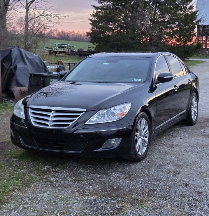 2011 Hyundai Genesis