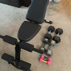 Bench and Weights