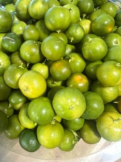 Fresh Green and Ripe Calamansi / Calamondin $2.50/lb.