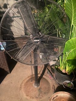 Fan