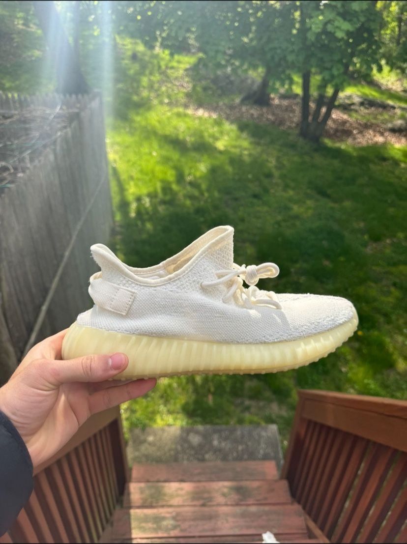 Yeezys Size 10