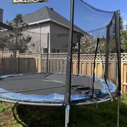 Trampoline For Free