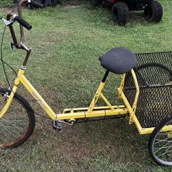 3 Wheel Bike 