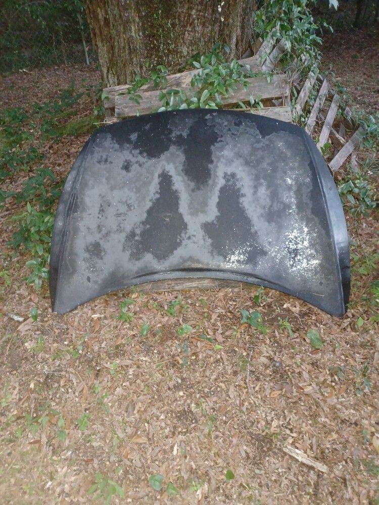 Nissan Maxima. Hood.