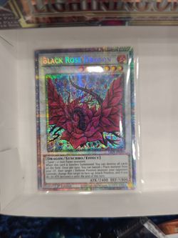 Black rose dragon starlight rare