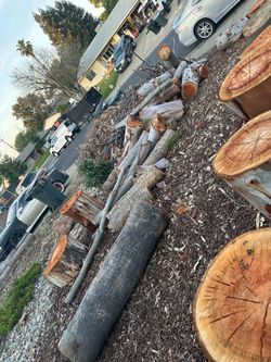 Wood logs