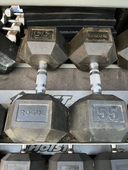 Rogue 55lb hex rubber dumbbell set weights