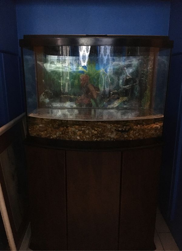 Aquarium for Sale in North Palm Beach, FL OfferUp