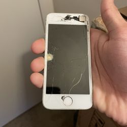 iPhone 5