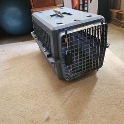 Pet Carrier 