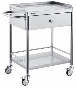 Medical Cart, 2-Layer Stainless Steel Cart 220 lbs Weight Capacity Rolling Utility Cart with 360° Silent Wheels and a Drawer, for Lab, Clinic, Kitchen