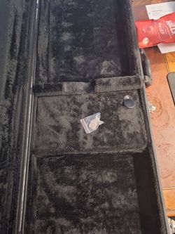 Guitar case