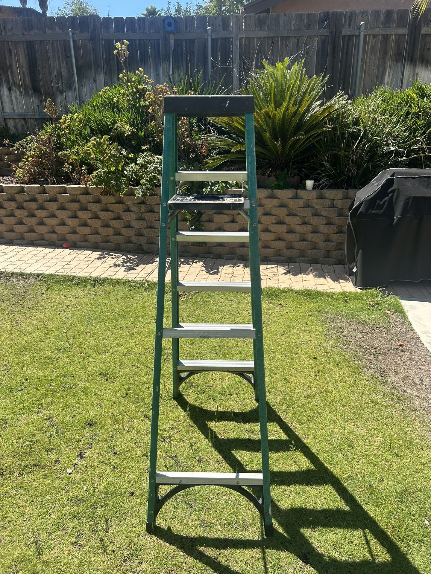 6ft. Ladder.