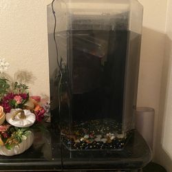 25 Gallon Fish Tank With Filter 