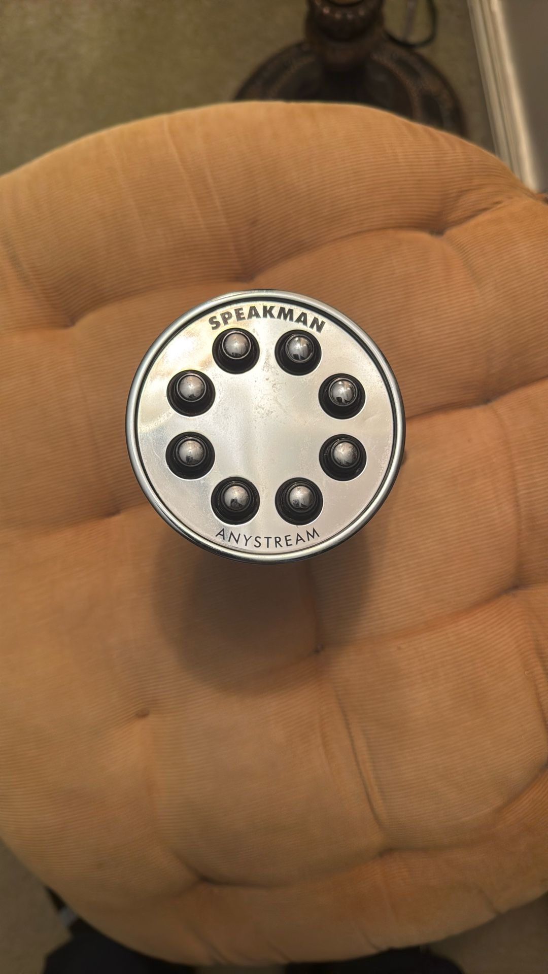 Speakman Anystream Shower Head.