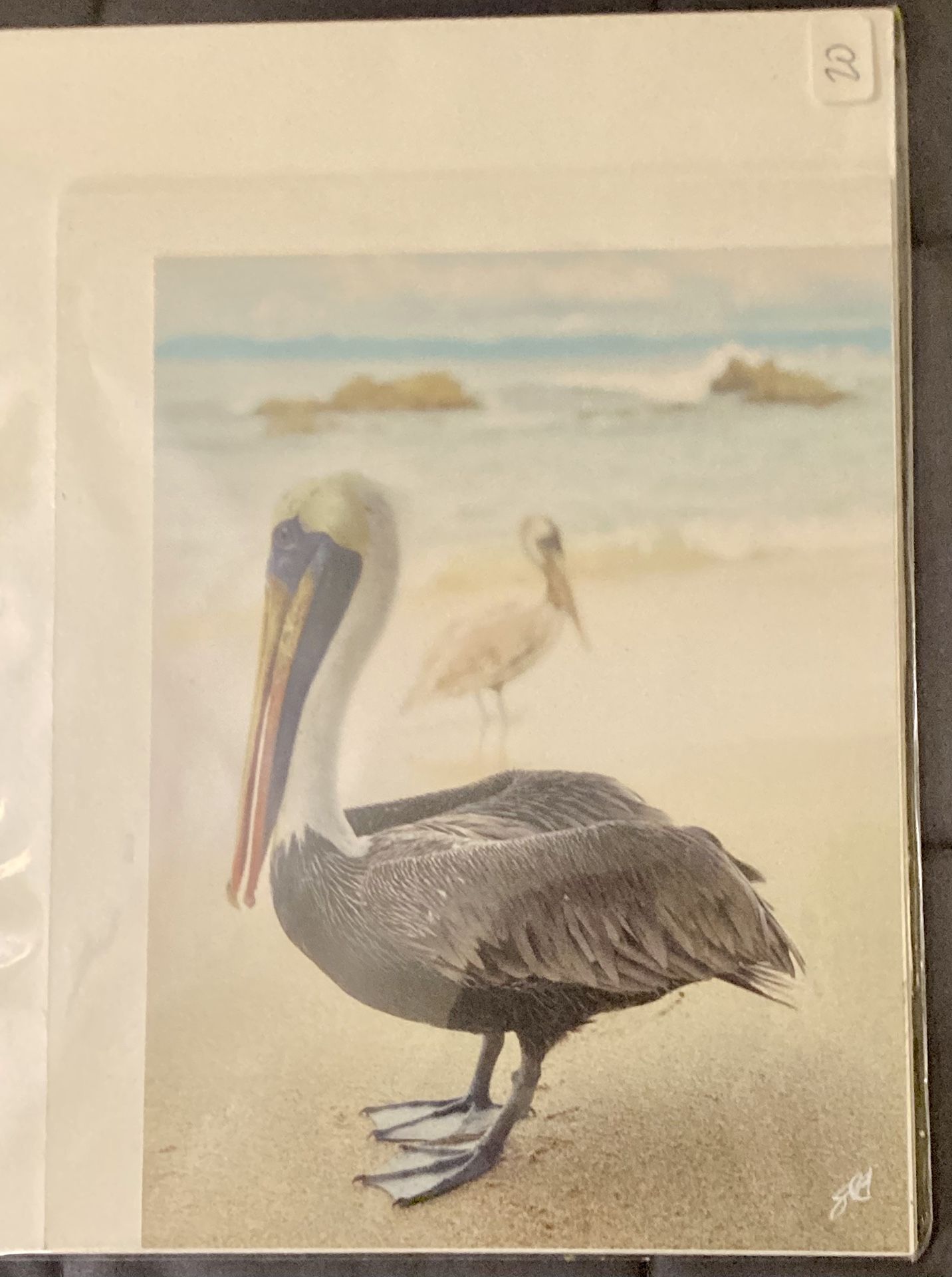 Original Local Artwork - Photo