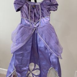 Disney Princess Sofia Costume Size 9/10