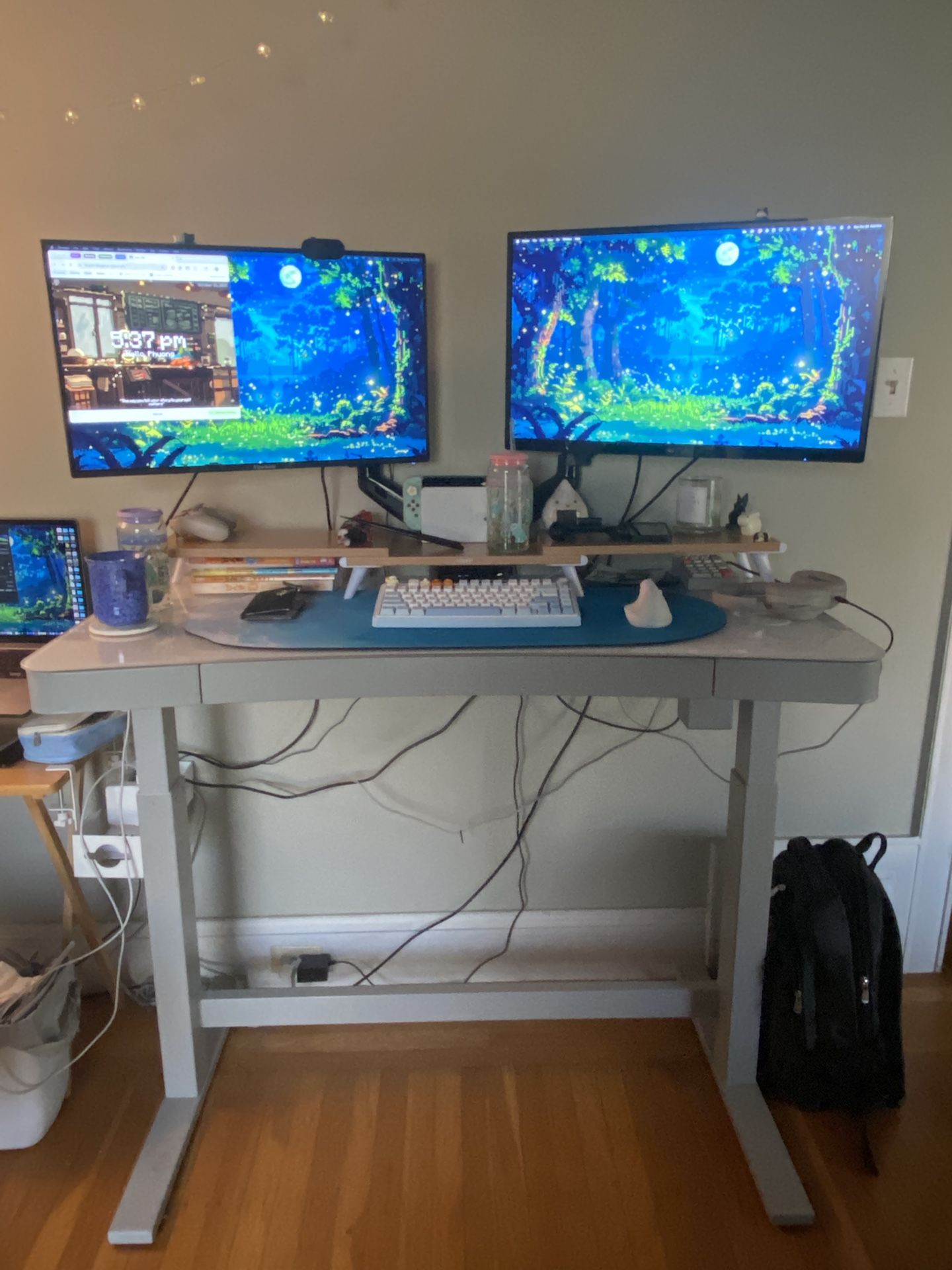 Standing Desk, Dual Monitors, Monitor Arms, Monitor Stand Riser (bamboo), And Office Chair