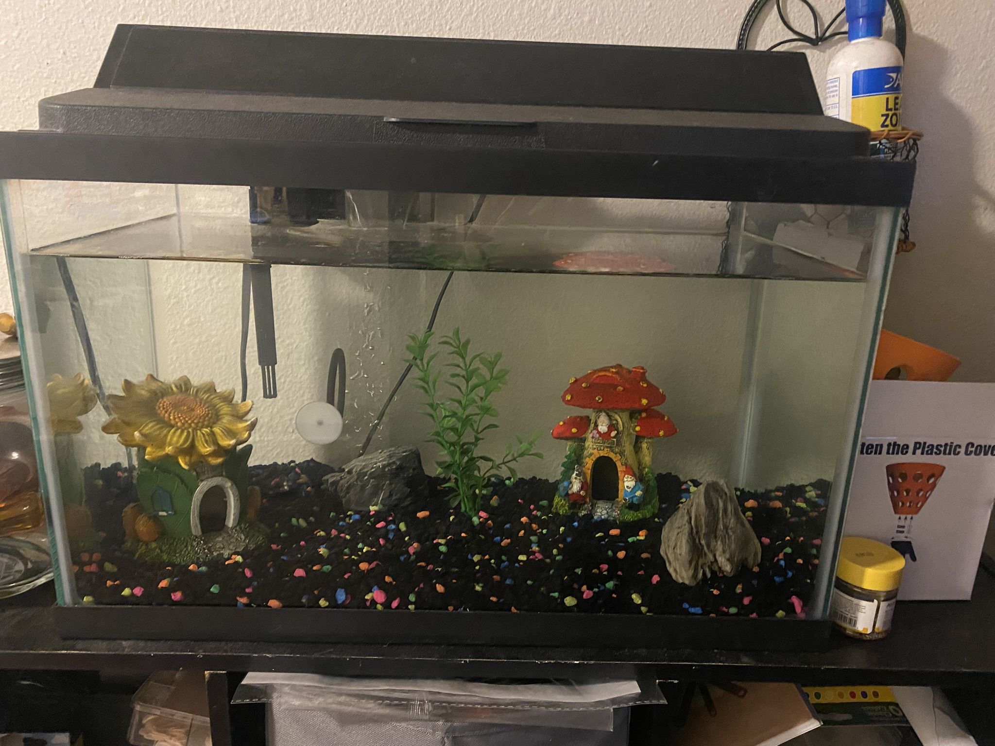 Fish Tank And Accessories