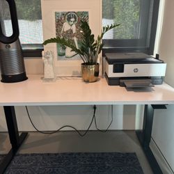 Room & Board Float Adjustable Standing Desk (2 Available)