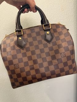 Louis Vuitton Damier Ebene Speedy Bag