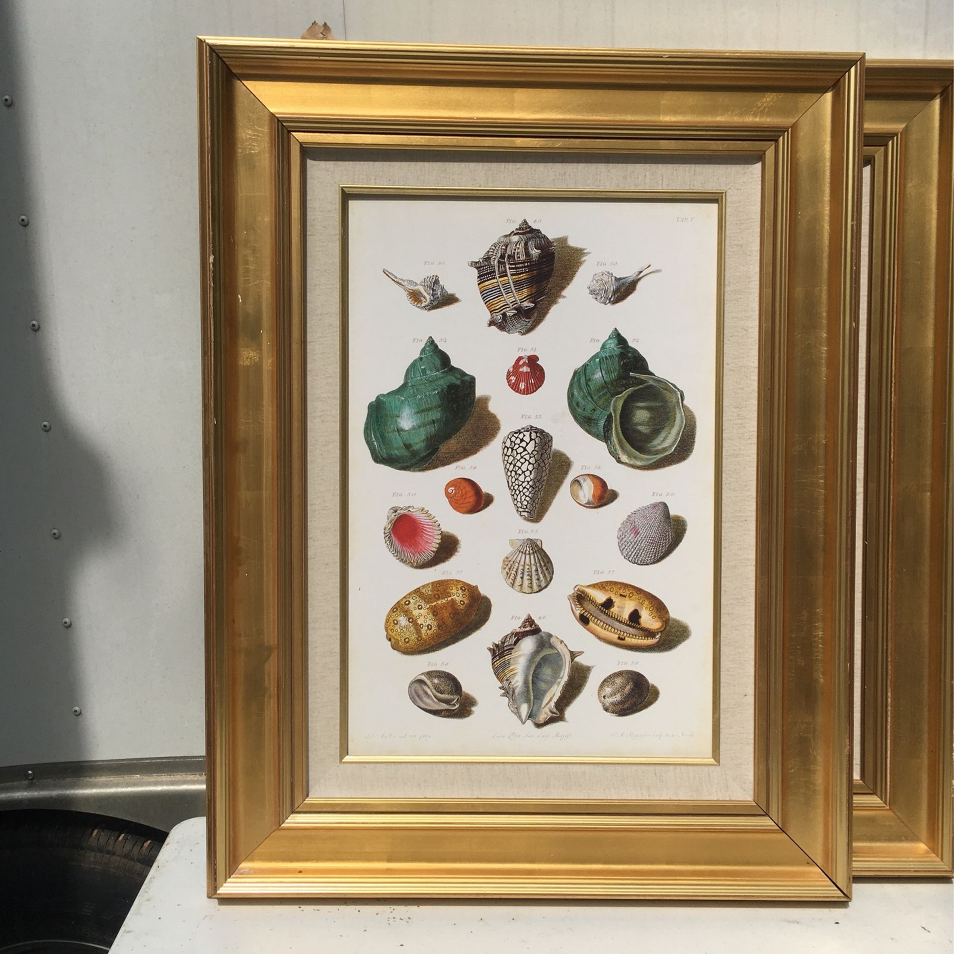 Gold / Cloth Frames And Picture S