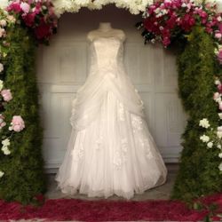 New White Wedding Dress With Tag