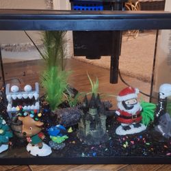 Topfin 5 Gallon Tank And Accessories