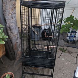 Bird Cage 